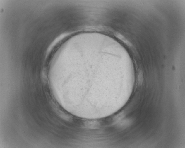 X0000082731454200702232335