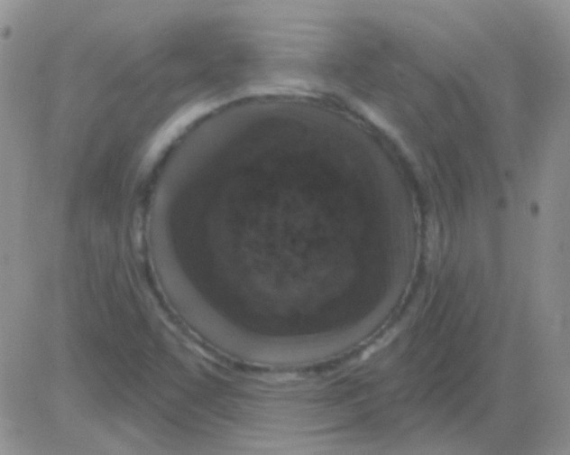 X0000082731455200702232335