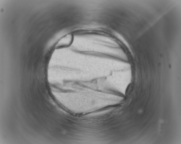 X0000082731456200702232335