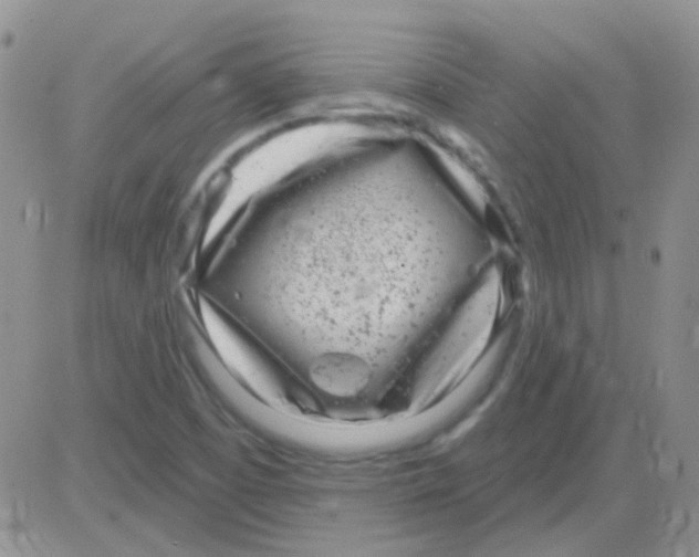 X0000082731457200702232335