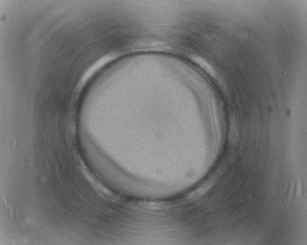 X0000082731458200702232335