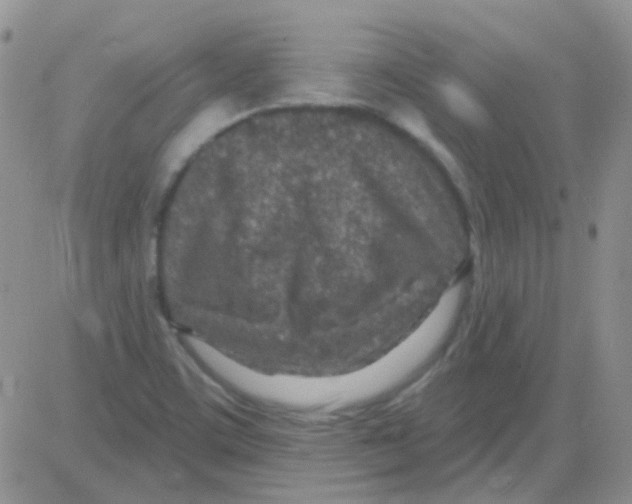 X0000082731459200702232335