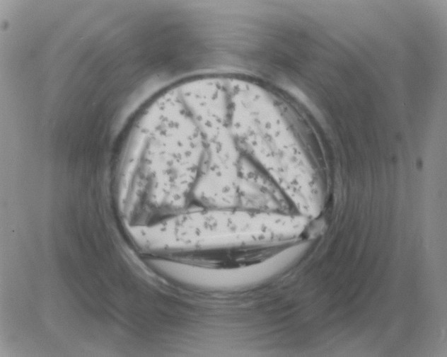 X0000082731460200702232335