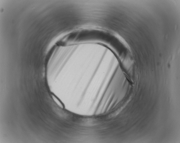 X0000082731461200702232335