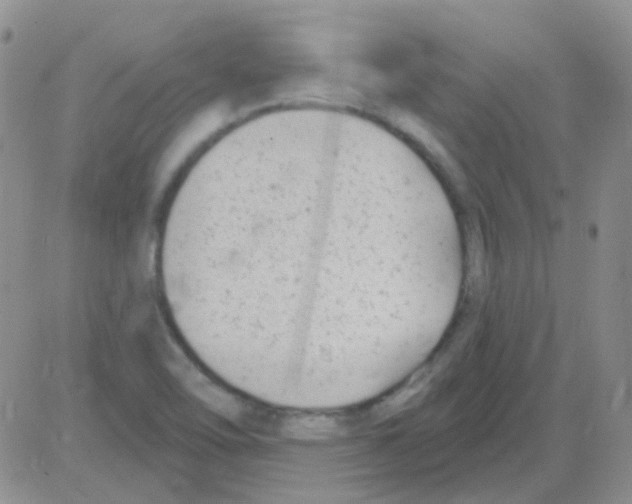 X0000082731462200702232335