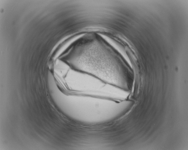 X0000082731465200702232335