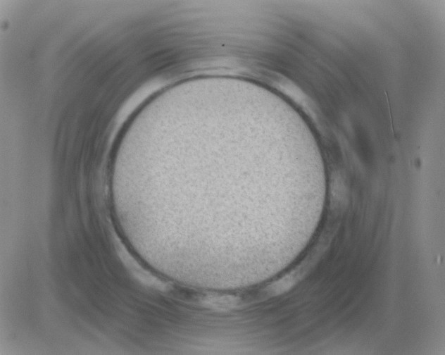 X0000082731466200702232335