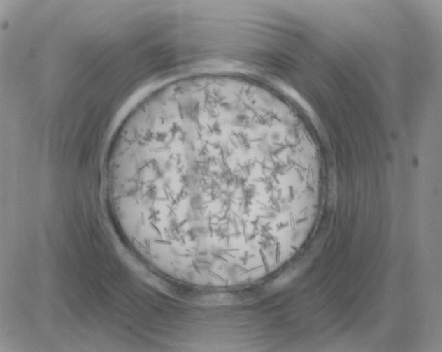 X0000082731467200702232335