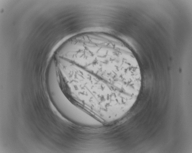 X0000082731468200702232334