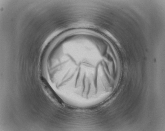 X0000082731469200702232334