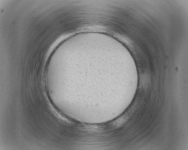 X0000082731470200702232334