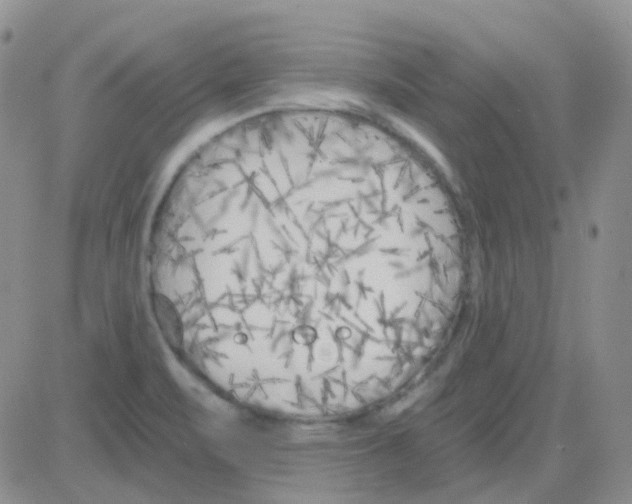 X0000082731471200702232334