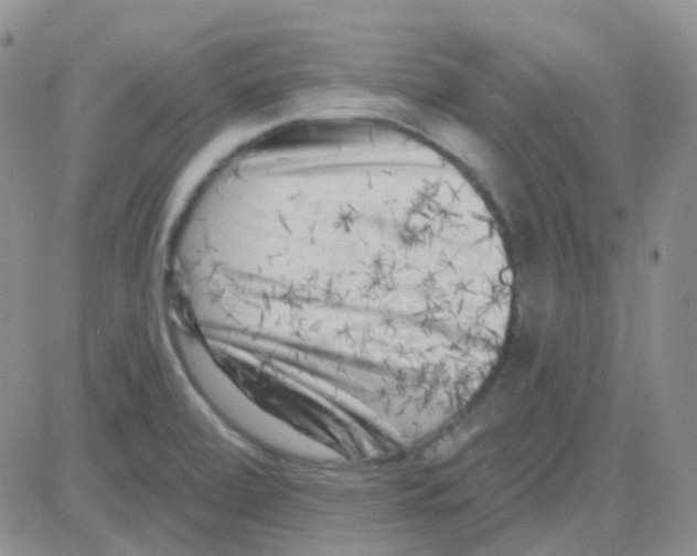 X0000082731472200702232334