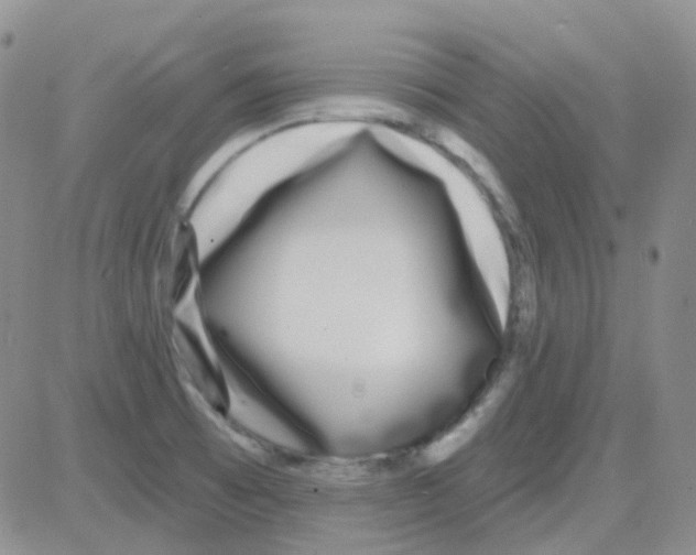 X0000082731473200702232334