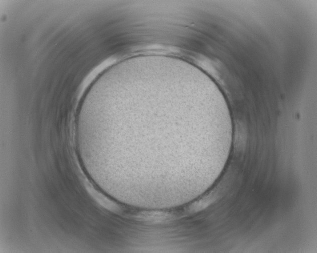 X0000082731474200702232334