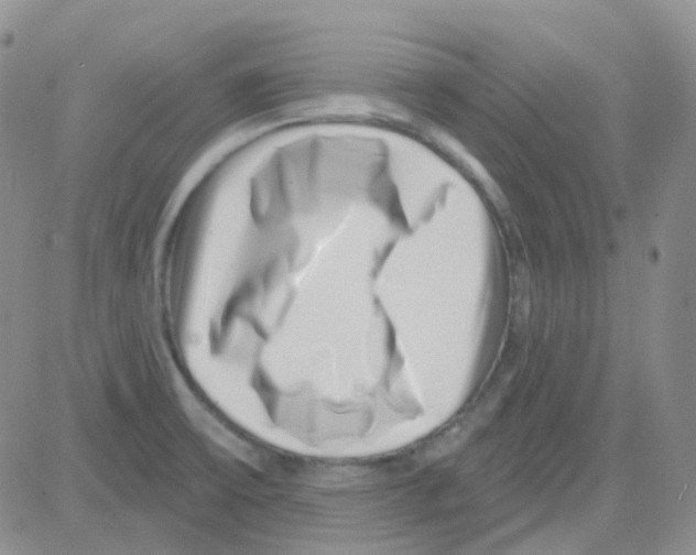 X0000082731475200702232334