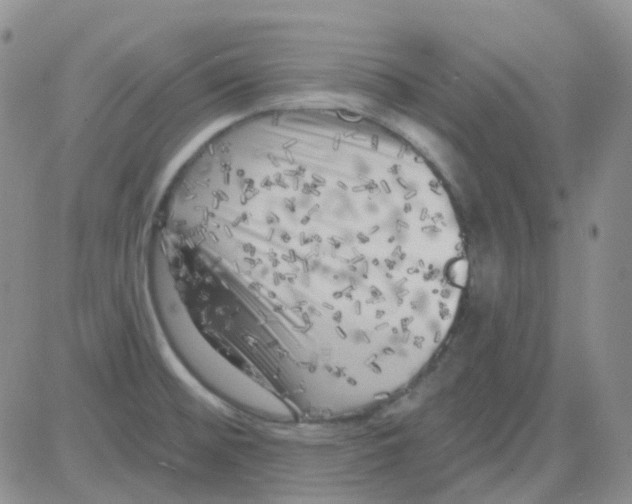 X0000082731476200702232334