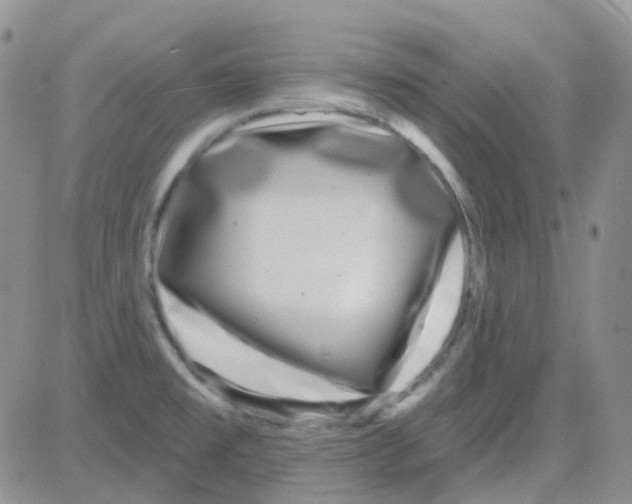 X0000082731477200702232334