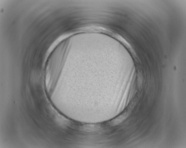 X0000082731478200702232334