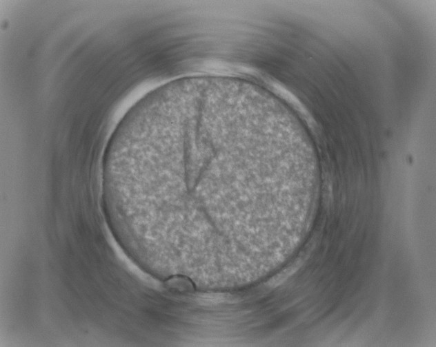 X0000082731479200702232334