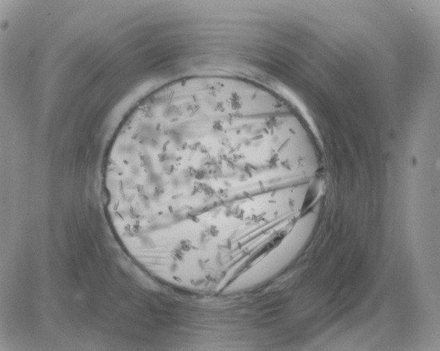 X0000082731480200702232334