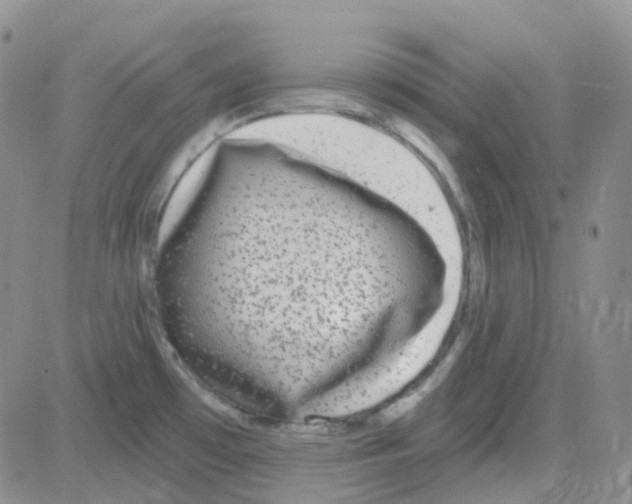 X0000082731481200702232334