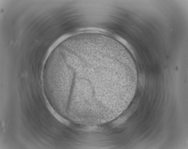 X0000082731482200702232334