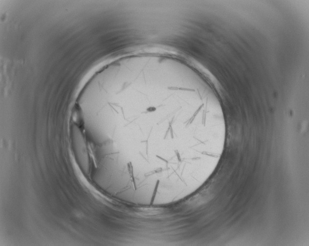 X0000082731483200702232334