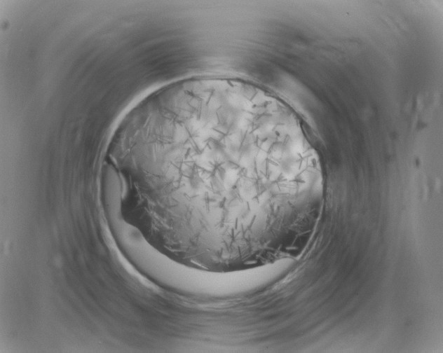 X0000082731484200702232334