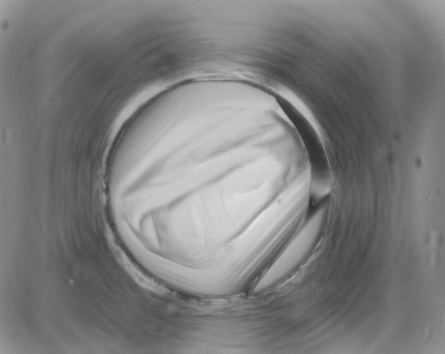 X0000082731485200702232334