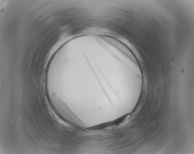 X0000082731486200702232334