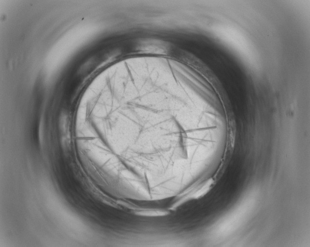 X0000082731487200702232334