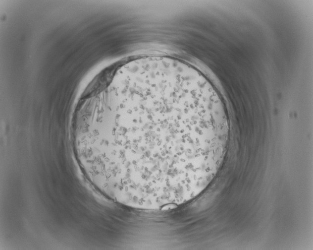 X0000082731488200702232334