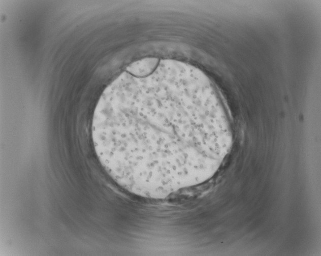 X0000082731489200702232333