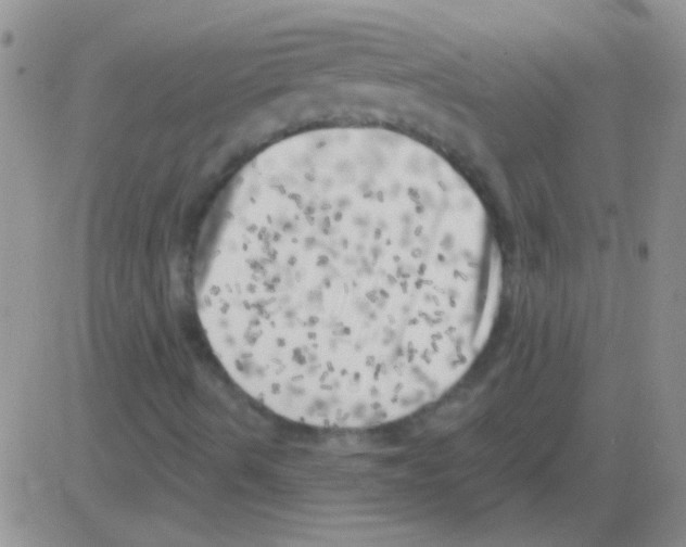 X0000082731490200702232333