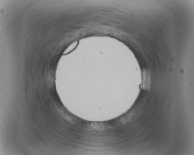 X0000082731491200702232333