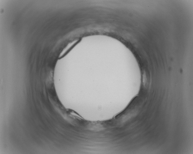 X0000082731492200702232333