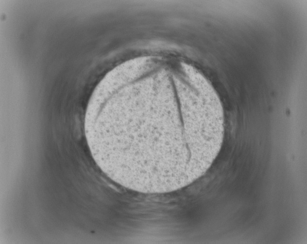 X0000082731493200702232333