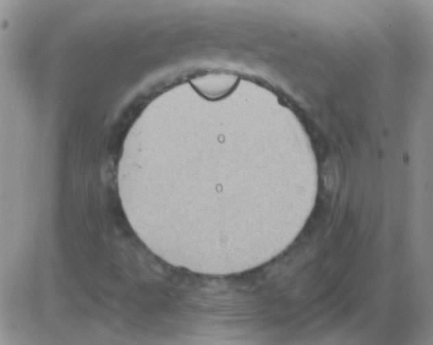 X0000082731495200702232333