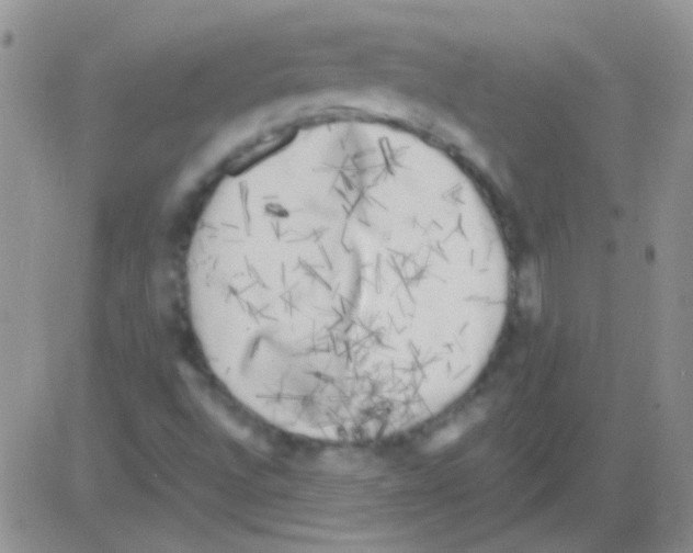 X0000082731496200702232333