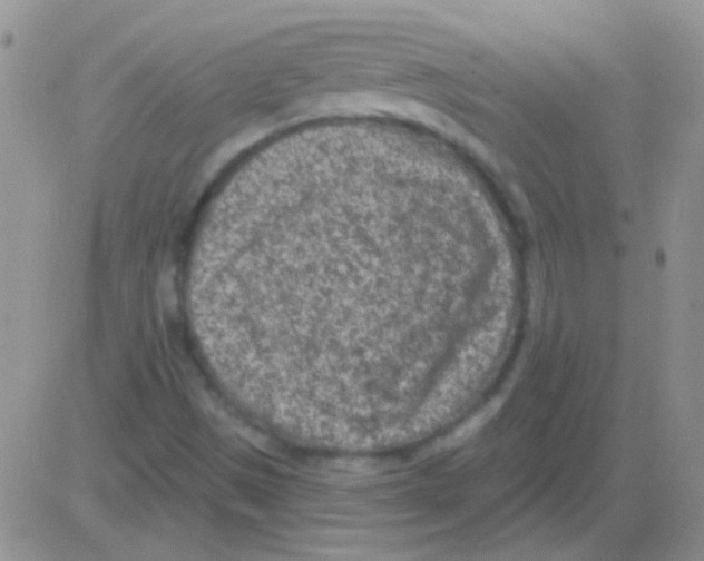 X0000082731497200702232333