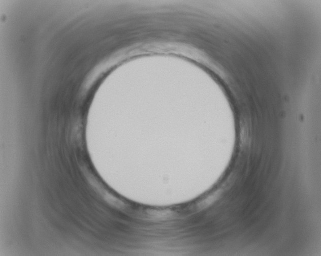 X0000082731498200702232334