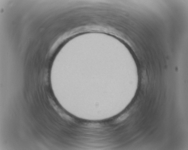 X0000082731499200702232334