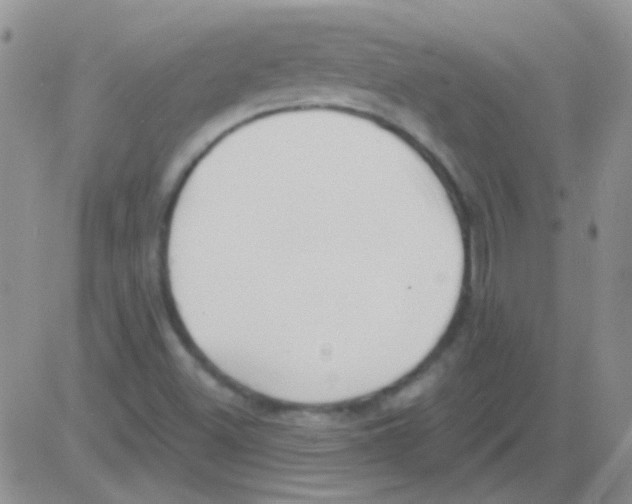 X0000082731500200702232334