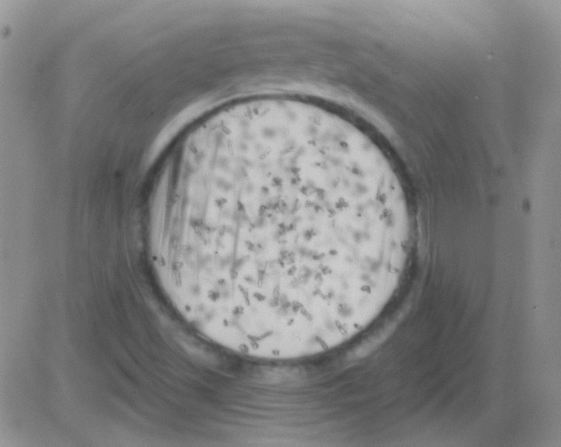 X0000082731501200702232334