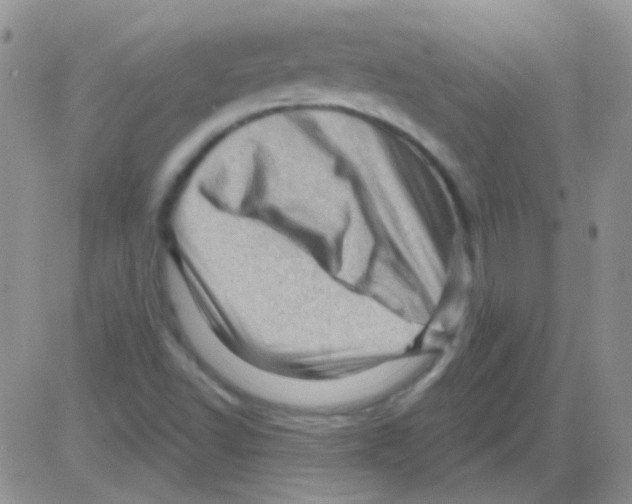 X0000082731502200702232334