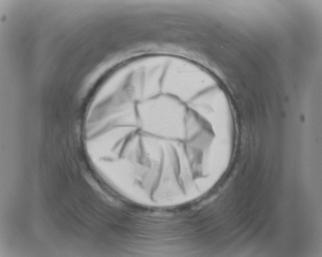 X0000082731503200702232334