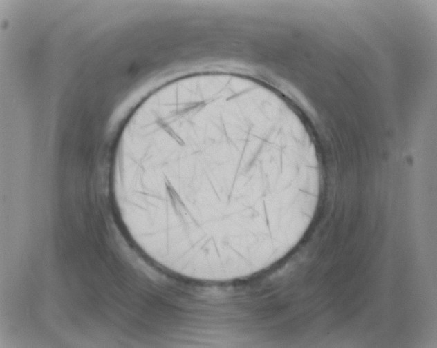 X0000082731504200702232334