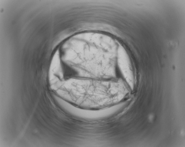 X0000082731505200702232334