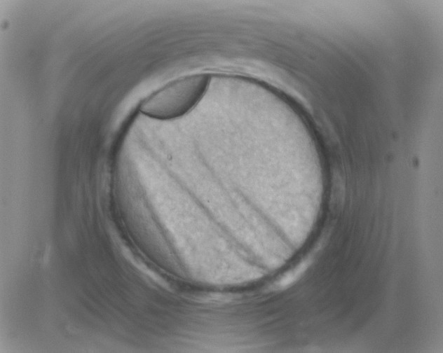 X0000082731506200702232334